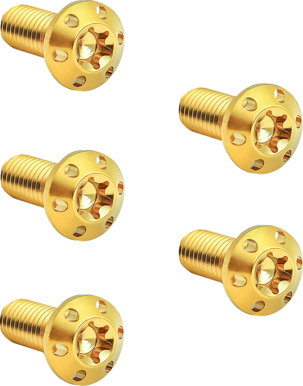 Holeshot Brake Rotor Bolt Kit - Bolt Kit - Holeshot/Brake Rotor/Front - Hub Mount - Gold - 5/16-18 x 7/8" - 5 Pack [2401-1706]