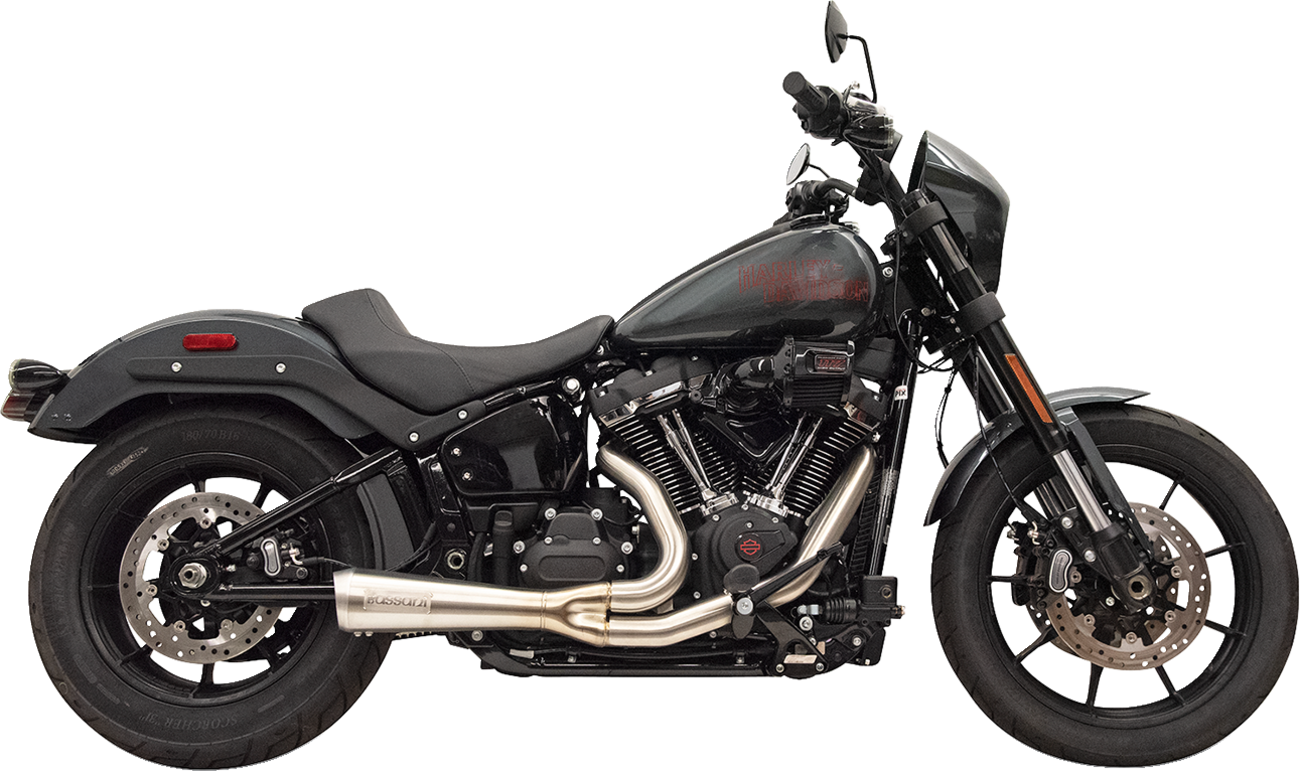 2-into-1 The Ripper Exhaust System - 2-into-1 Ripper Exhaust System with Megaphone Muffler - Short - Stainless - 49-State - M8 Softail [1800-2753]