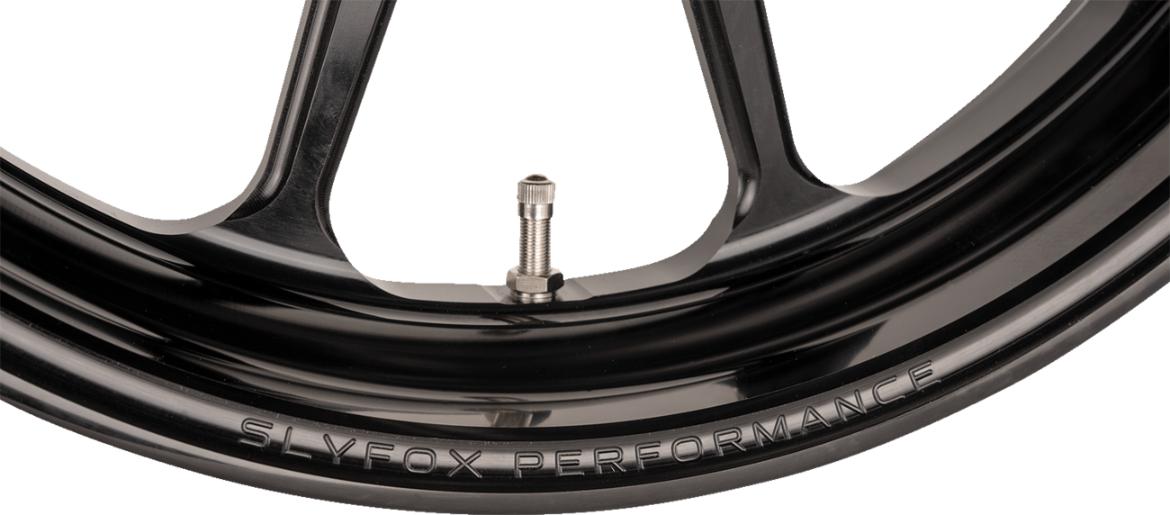 Track Pro Wheel - Wheel - Track Pro - Front - Dual Disc /without ABS - Black - 17x3.5 [0201-2427] - Image 2