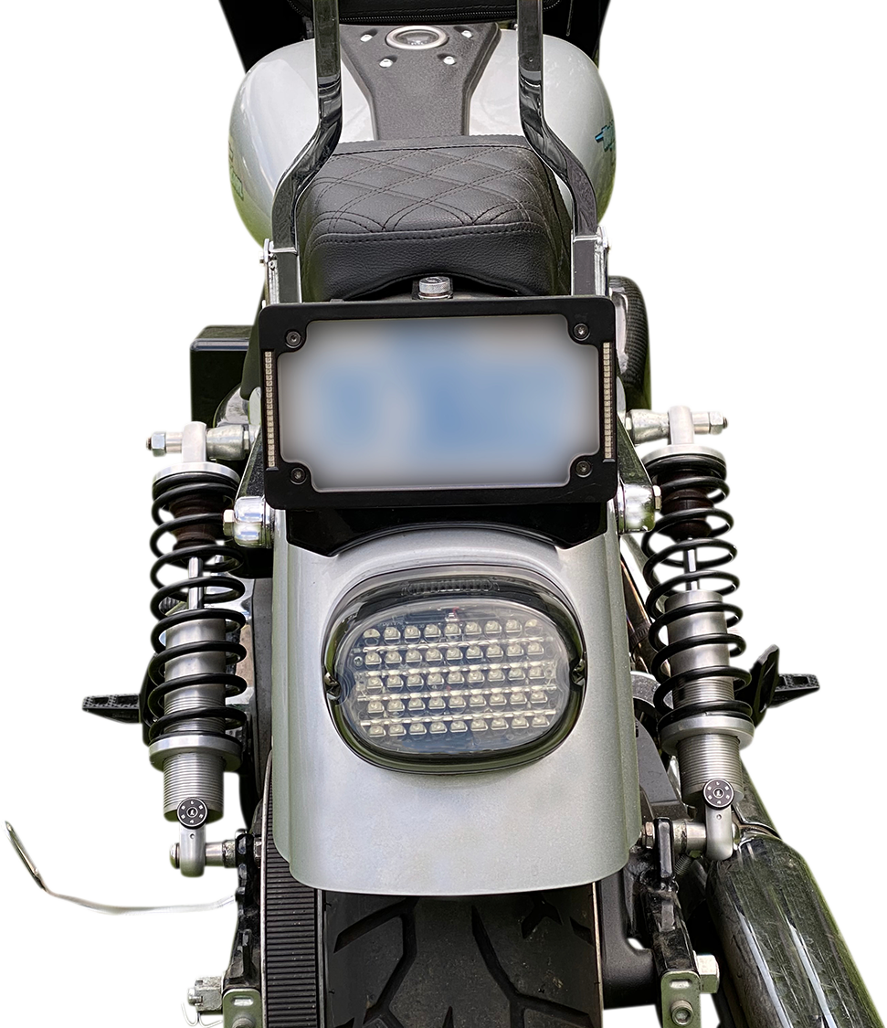 Low Profile LED Taillight - Taillight - Top Window - Smoke [2010-1436] - Image 4