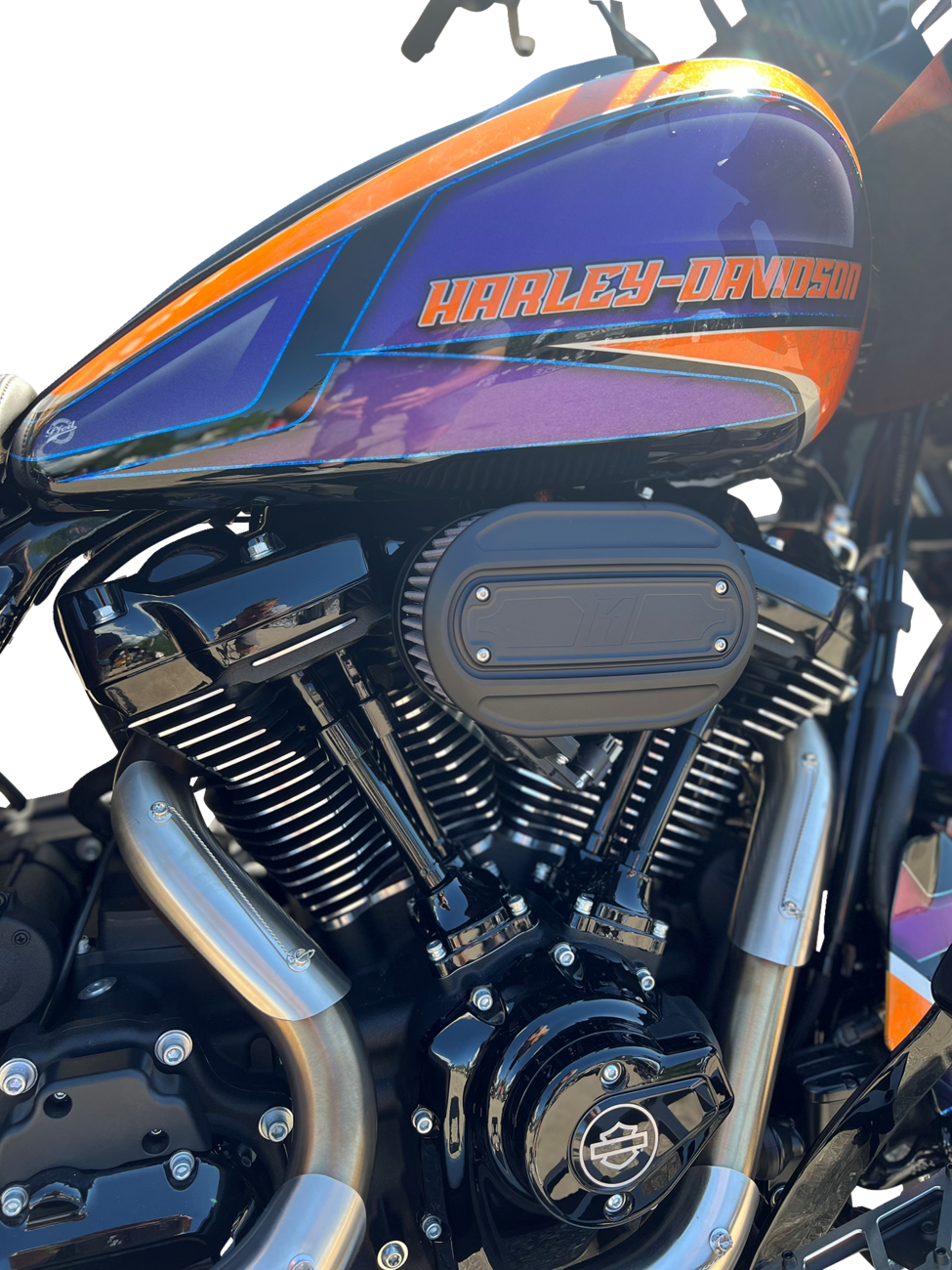 Oval Air Cleaner Kit - Black - Touring/Softail [1010-3206] - Image 4