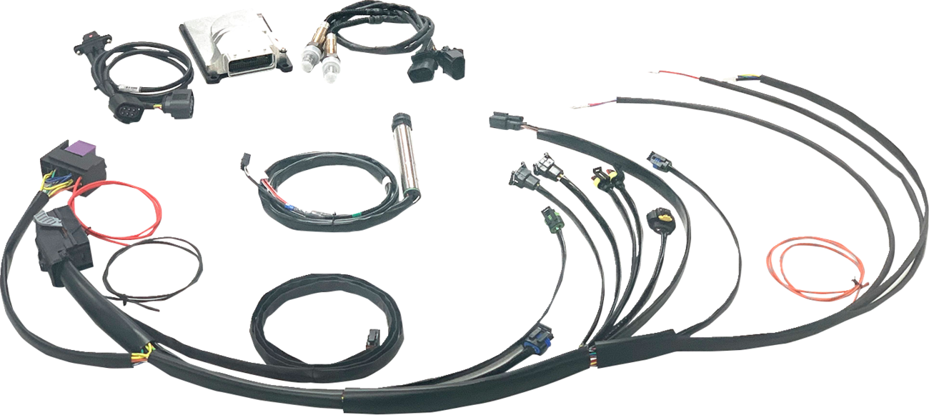 Complete Stand-Alone EFI Engine Management System - Twin Cam [1020-4281]