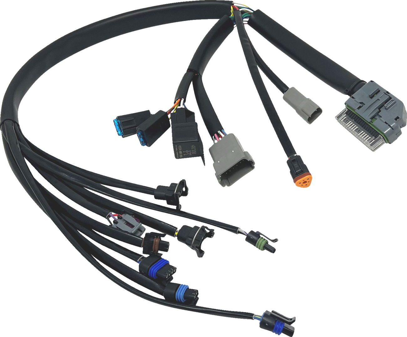 EFI Harness - '04-'05 FLH/FLT [2120-1237]